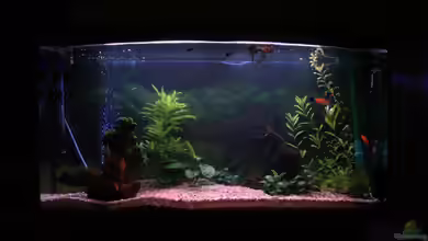 Becken 11877 von Legolas_84