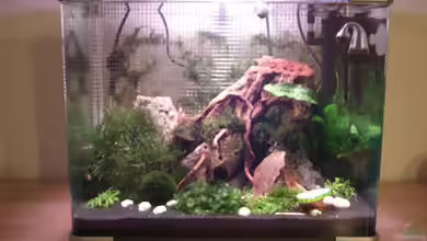 Becken 12026 von Thorsten Kunkel