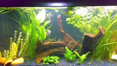 Becken 12225 von Marc Steinhauser