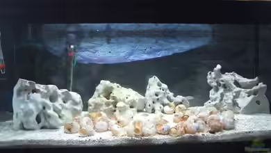 Becken 12275 von Max94