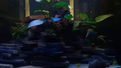 Becken 12344 von nobs1706