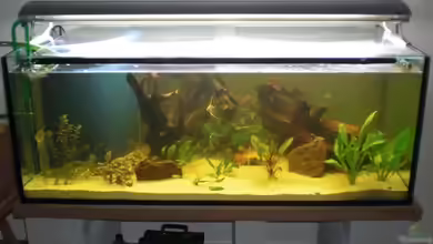 Becken 12365 von Sascha Becker