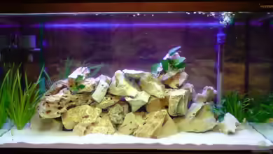 Becken 12450 von Julian S.