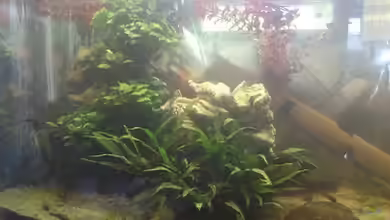 Becken 12489 von huigu