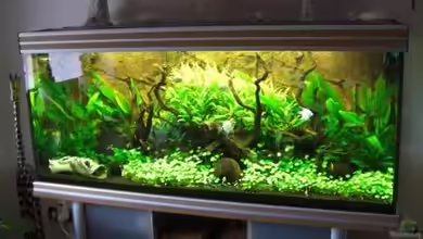 Becken 12555 von Stefanie Engelhardt