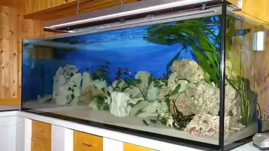 Becken 1257 von Rainer König