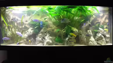 Becken 1261 von Mario Latschein