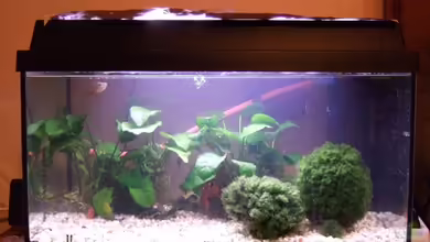 Becken 12634 von Hannes Hartwig