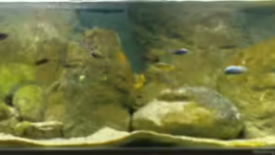 Becken 12684 von Oliver Menck