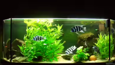 Becken 127 von Marco Arens