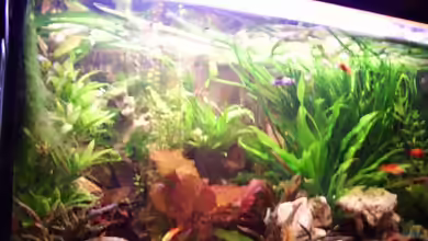 Becken 12802 von welle30