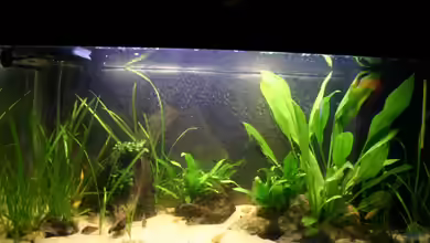 Becken 1284 von DerMarc