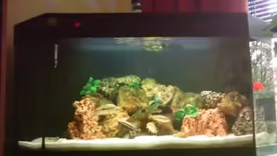 Becken 1290 von Rene Wenzel