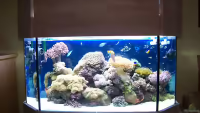 Becken 13240 von Rudolf Erni