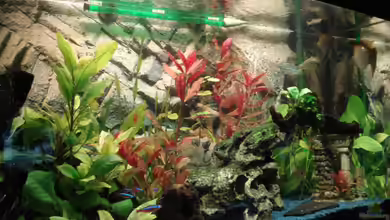 Becken 13280 von Fischeblog