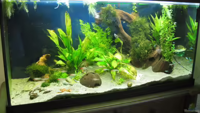 Becken 13524 von Ralf Braun