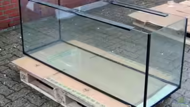 Becken 13533 von Dominik Kampmann