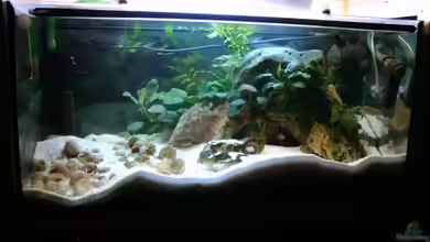 Becken 1357 von Christoph Klaus