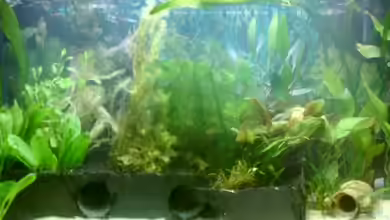 Becken 13627 von Nina Stahlschmidt