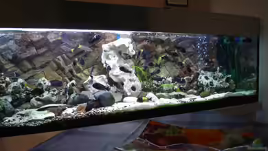 Becken 1363 von Michael Niedermeier