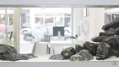 Becken 13672 von Ralf Bauer