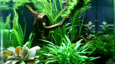 Becken 13811 von Betty