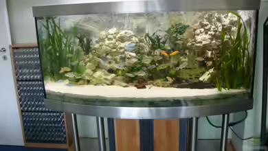 Becken 1388 von Mario Jungnitsch