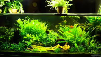 Becken 1399 von Rita Abe