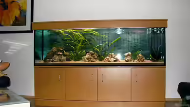 Becken 1405 von Tobias Noll