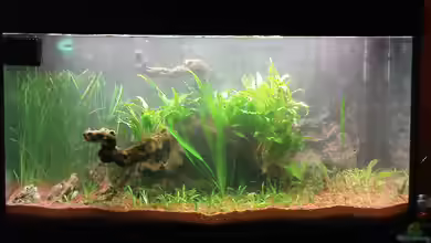 Becken 14098 von Jens Hug