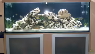 Becken 142 von Melanie Stauff