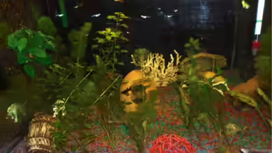 Becken 14234 von Patrick Barth