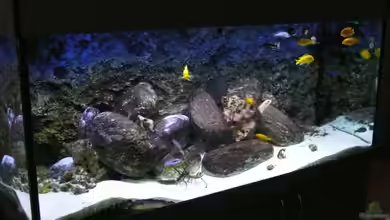 Becken 14272 von tenebroso