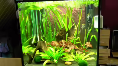 Becken 14329 von Steffen Schmidt