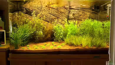 Becken 14361 von Sebastian W.