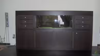 Becken 1437 von Andre Kröber