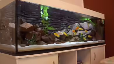 Becken 14379 von various77