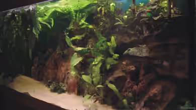 Becken 1465 von Timo Köhler