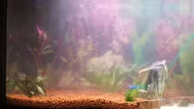 Becken 14721 von BlutigerAnfänger