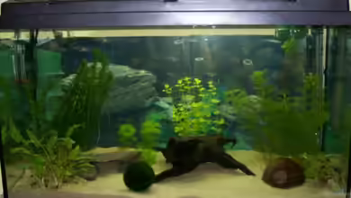 Becken 14790 von Andreas Janßen