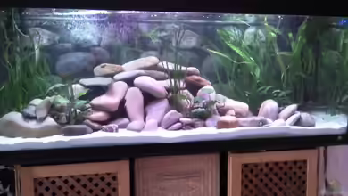 Becken 14883 von Michael 123