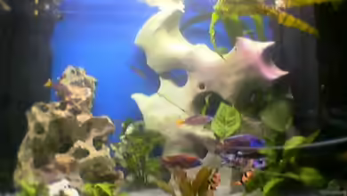 Becken 149 von Michael Mosch