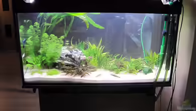 Becken 15114 von KleinUndKräftig