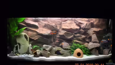 Becken 15417 von Mario Kühn