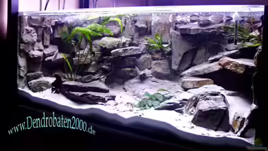 Becken 1560 von Michael Rückauf