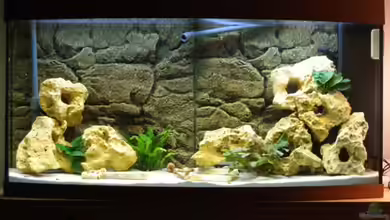 Becken 1568 von Klaus Lange