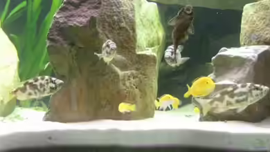 Becken 15694 von Sebastian Kühne