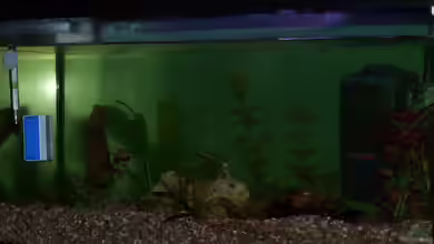 Becken 15805 von Annett F.