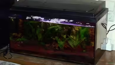 Becken 15807 von Annett F.