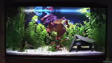 Becken 1592 von Marcus Heiser